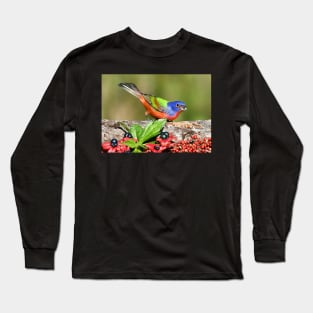 Painted Bunting Male Bird Long Sleeve T-Shirt